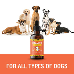 Special Breed Vitamin C for Dogs dosing spoon for easy, precise servings