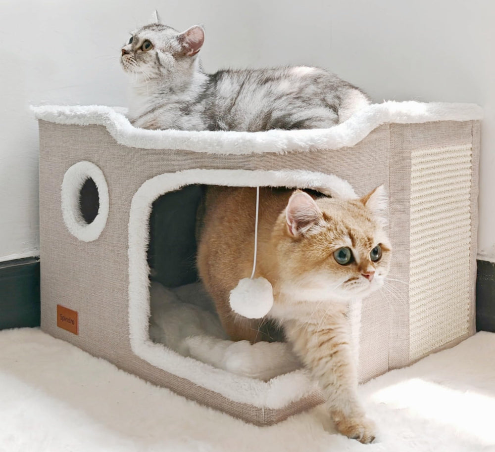 Spindro cat cave bed open-top view highlights roomy lounging area for indoor cats.