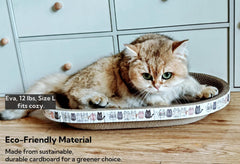 Spindro-elevated-rim-design: elevated rim provides supportive angle to complement lounging behavior.