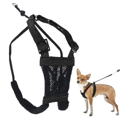 Sporn extra-small no-pull harness with breathable mesh for comfortable puppy walks.