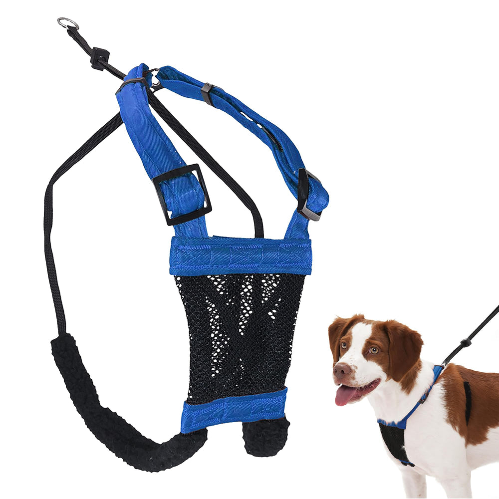 Sporn Mesh No-Pull Harness front view in blue for comfortable, controlled walks