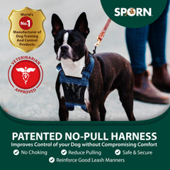 Sporn No-Pull Harness blue mesh side adjustment ensures secure fit on growing puppies