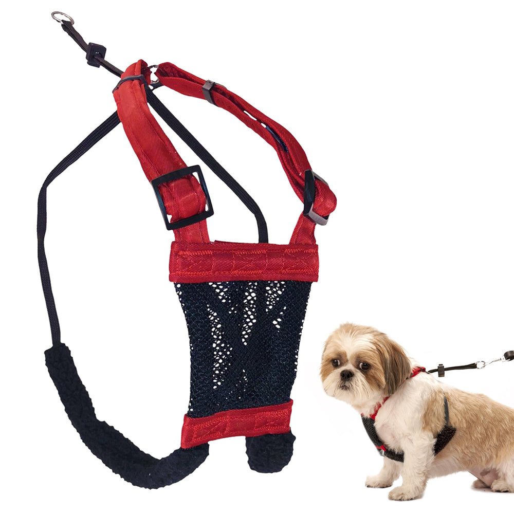 Sporn No-Pull Harness in red mesh boosts comfortable control on daily walks.