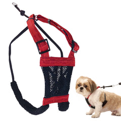 Sporn No-Pull Harness in red mesh boosts comfortable control on daily walks.
