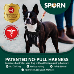 Sporn No Pull Harness small backstrap detail highlights secure fit for daily walks.