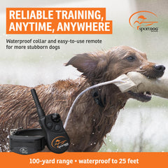 SportDOG YardTrainer 100S remote control ready for quick training cues