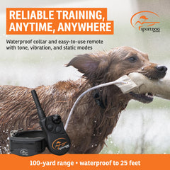 SportDOG YardTrainer collar shown in light rain to illustrate waterproof capability.