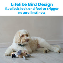 SPOT Bird Calls plush dog toy, close-up beak and detailing for realistic imitation.