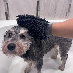 SPOT Clean Paws mitt demonstrates high absorbency soaking water quickly.