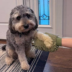SPOT Clean Paws mitt worn as a glove for easy drying.