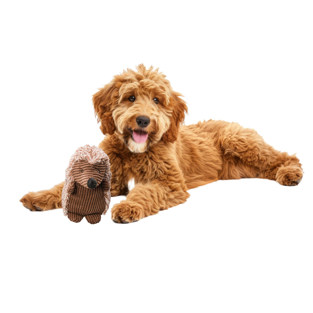 SPOT Corduroy Hedgehog toy, front view, soft plush for gentle play and cuddles.
