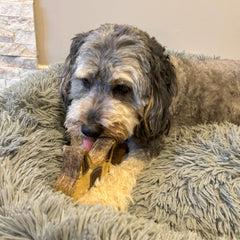 SPOT Dura-Fused Chunkies Raccoon felt layers detail showcases stuffing-free design