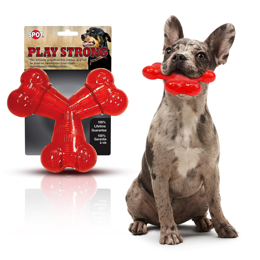 SPOT Play Strong Trident Bone toy front view for aggressive chewers and fetch sessions