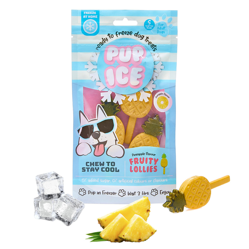 SPOT Pup Ice chicken-lolly assortment for small dogs cooling treat on hot days