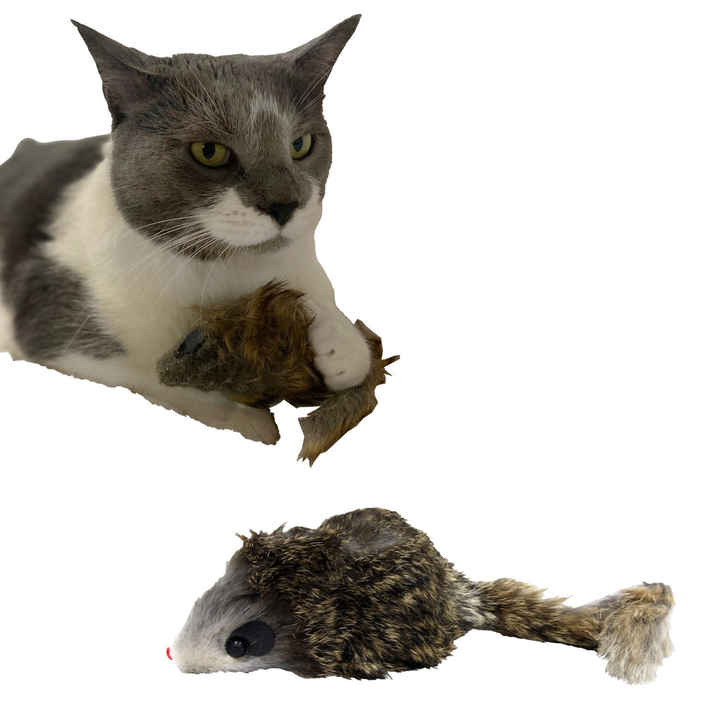 SPOT Shaggy Plush Giant Mouse closeup of fuzzy fur and catnip appeal during play