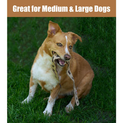 SPOT Leather Snake stuffing-free design reduces mess during play.