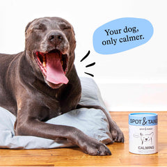 Spot & Tango USA-made supplement with no artificial flavors or fillers