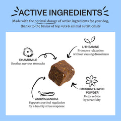 Spot & Tango vet-developed formulation for balanced active ingredients in dogs