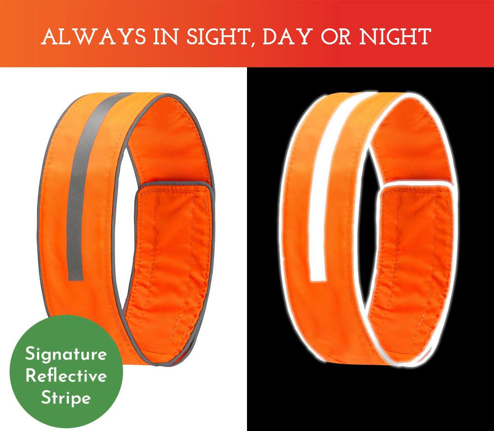 SPOT THE DOG! Reflective collar side view shows bold orange color for night safety.