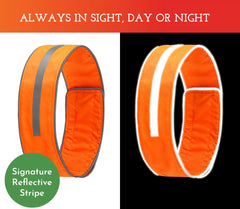 SPOT THE DOG! Reflective collar side view shows bold orange color for night safety.