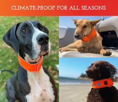 SPOT THE DOG! Reflective collar worn on dog demonstrates high visibility on trails.