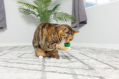 SPOT Wool Pom Poms colors closeup highlights bright hues for engaging cats.
