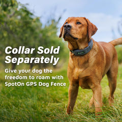 SpotOn charging kit in use with collar near boundary fence for extended battery life.