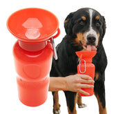 Springer by Springland hero bottle demonstrates portable hydration for adventures.