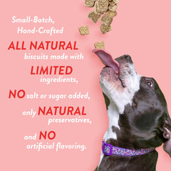 Spunky Pup A Pizza My Heart crunch closeup highlighting crunchy texture