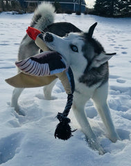 Spunky Pup Fly & Fetch Duck close-up reveals ballistic nylon, plush fabric, and cotton rope for rugged play
