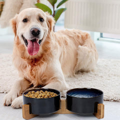 SPUNKYJUNKY ceramic dog bowl water closeup ensuring easy access to hydration