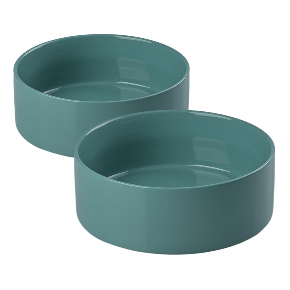 SPUNKYJUNKY 60oz ceramic dog and cat bowl front view highlights durable, easy-clean design.