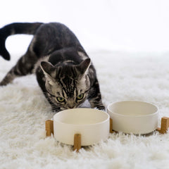 SPUNKYJUNKY cat bowl in matte glaze paired with wooden stand prevents spills.