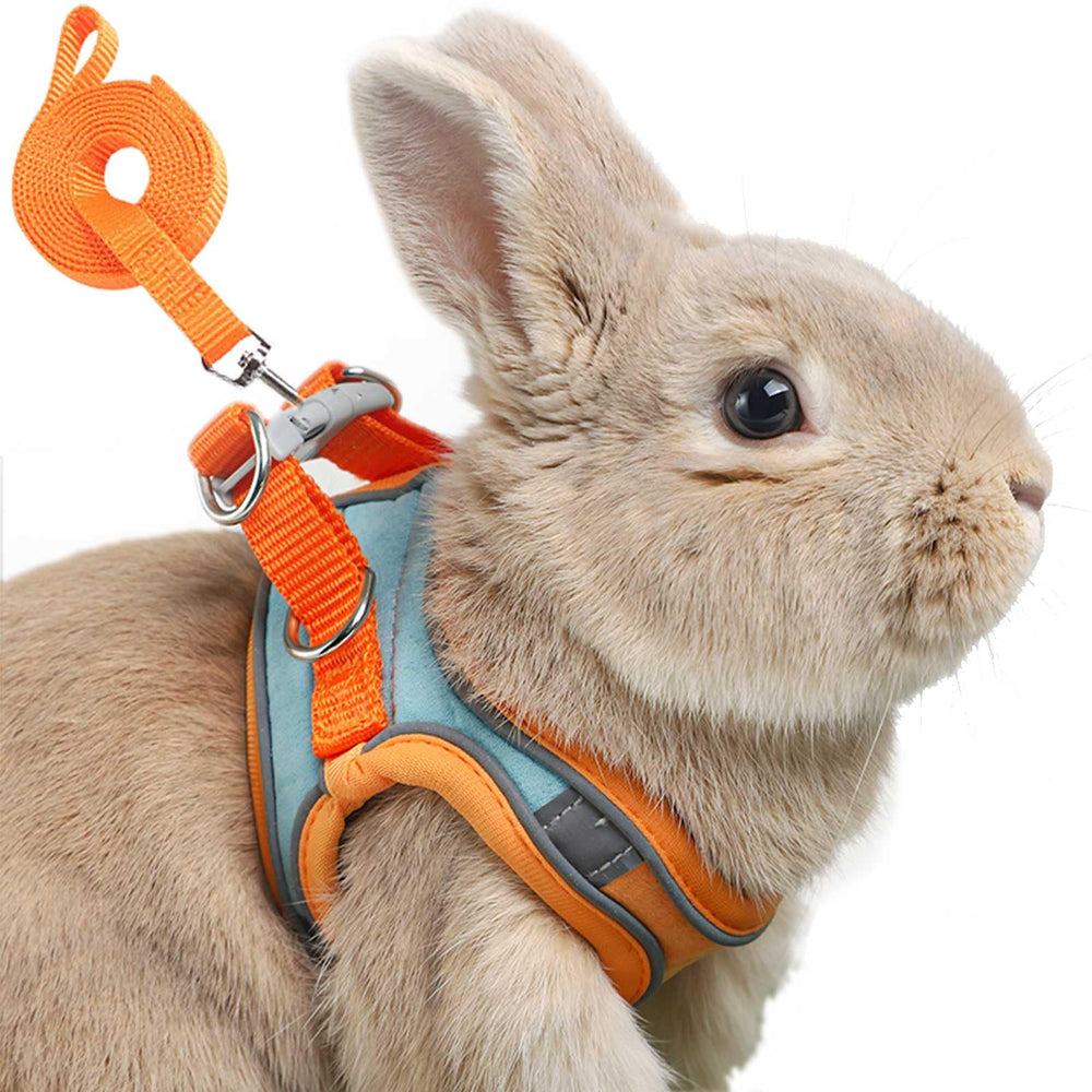 SQUSIMEI adjustable bunny harness orange-green on a small rabbit for comfortable, secure walks.
