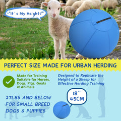 Srotek Herding Ball side-view blue supports dynamic training and agility prompts.