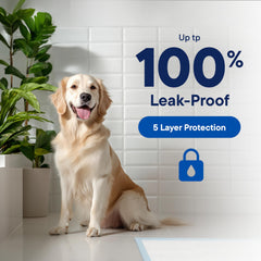 Stack Man dog pads 28x30 polymer-beads absorb moisture fast with quick-dry surface.