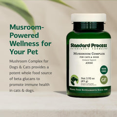 Standard Process bovine colostrum for pets supports immune balance and gut comfort.