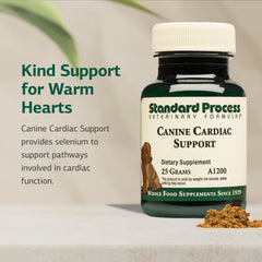 Standard Process Canine Cardiac Support dog-cardiac-health display illustrates everyday wellness for pets.