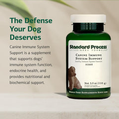 Standard Process Canine Immune Support label—zinc and kelp for antioxidant-style nourishment.