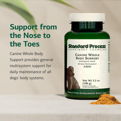 Standard Process Canine Whole Body Support beside kibble, easy daily nutrition for overall wellness.