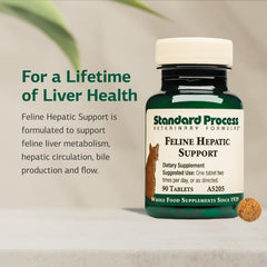 Standard Process cat liver metabolism tablets highlight metabolism support for cats.