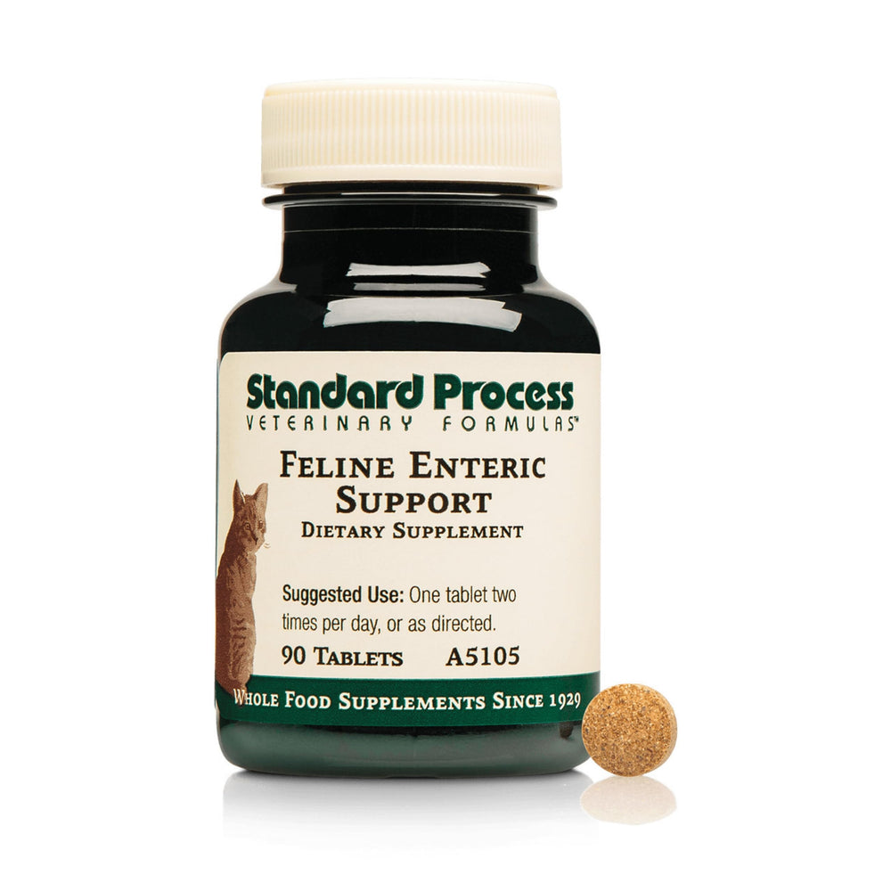 Standard Process Feline Enteric Support bottle front demonstrates convenient digestive health support.