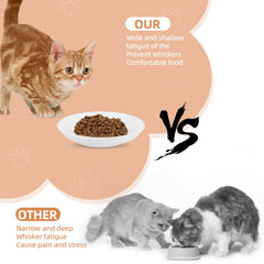 STAOVA ceramic bowl shows smooth glaze and safe feeding surface