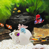 Starryfill white ceramic conch decor provides a stylish tank backdrop with hiding spaces.