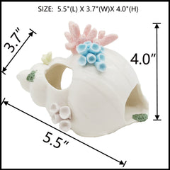 Starryfill three-hole conch ornament enables safe passage and hiding for small fish.