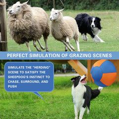 Stcohyz Herding Ball explosion-proof liner enhances safety during vigorous play