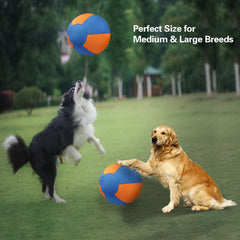 Stcohyz Herding Ball tear-proof Oxford cloth ready for outdoor training sessions
