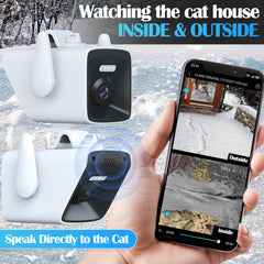 Stdily heated cat house inside view with cat—cozy, safe space stays warm.