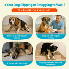 Steady Paws breathable fabric keeps paws cool indoors