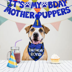 STMK dog birthday hat adds playful flair to pet celebrations and photos.
